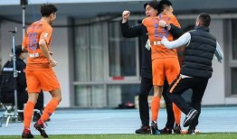 张弛鲁能最新爆料,揭秘行业背后惊人内幕