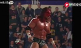 wwe最新赛事爆料视频,精彩对决即将上演，悬念重重引粉丝热议！