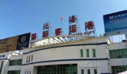 南宁客运站最新爆料电话,电话曝光，揭秘出行新动态