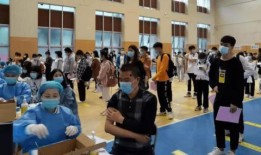 嘉善星派爆料最新消息新闻,揭秘星派动向，独家新闻抢先看！