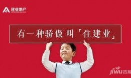 最新建业员工真实爆料,真实爆料背后的职场真相