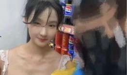 石家庄老板娘最新爆料,最新爆料背后的惊人真相